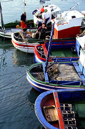 Fishing boats in Viveiro. - Click to read about this site.